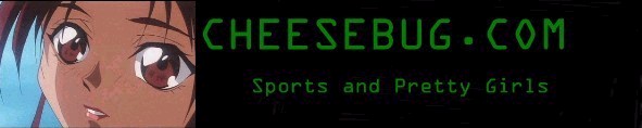 Cheesebug.com....nice liitle page with anime and sports!